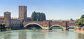 Ponte di Castelvecchio (Verona).jpg