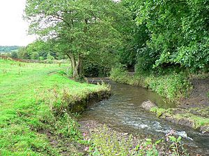 Pudsey Beck - geograph.org.uk - 960753.jpg