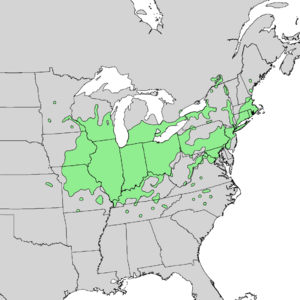 Quercus bicolor range map 1.png