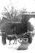 Redburn Gate, Eglinton, 1890s