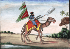 Reminiscences of Imperial Delhi Camel Artillery Man