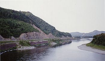 Restigouche River, Canada - (Summer 1993) (facing East).jpg