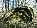 Rock Corral - Barlow Road Oregon