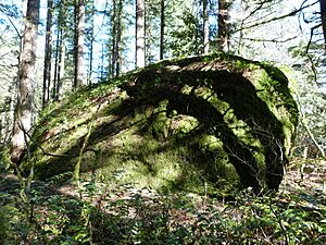 Rock Corral - Barlow Road Oregon