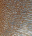 Rub' al Khali (Arabian Empty Quarter) sand dunes imaged by Terra (EOS AM-1)