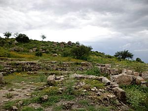 Ruinas casi en La Ferrería Zona Artueologica