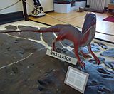 Rutgers University Geology museum prehistoric dinosaur named grallator