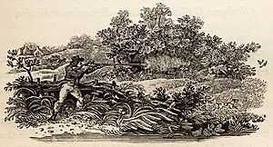 Shooting from Hide tail-piece in Bewick British Birds 1804