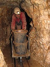 Silberbergwerk Suggental - Hund Spurnagel unter Tage