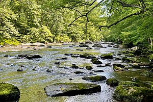South Branch Raritan River, Ken Lockwood Gorge, NJ