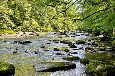 South Branch Raritan River, Ken Lockwood Gorge, NJ