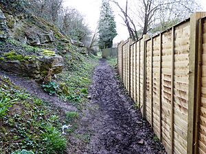 Spot Lane Quarry 1