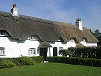 Thatched Cottages at Swan Green - geograph.org.uk - 94230