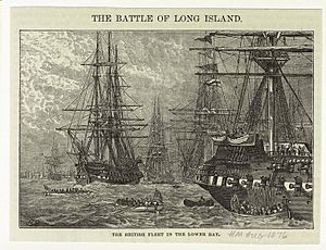The British fleet in the lower bay 1876