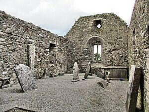Tullaroan church ruin Interior (geograph 6179484).jpg