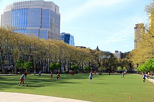 USA-NYC-Cadman Plaza Park.jpg
