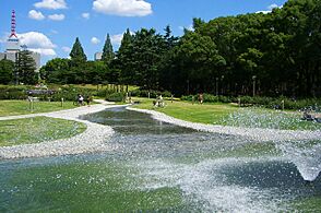 UtsuboPark-RoseGarden02