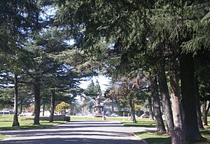 Valhalla Memorial Park Fountain