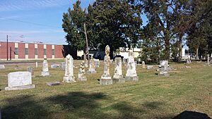 Violet Cemetery 002