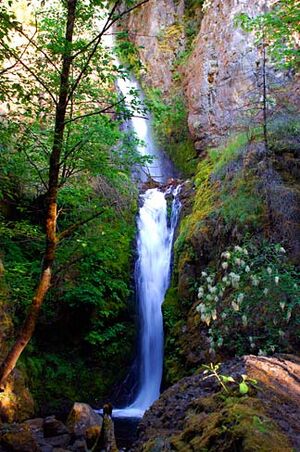 Warren Falls (Hood River County, Oregon scenic images) (hooDA0152).jpg