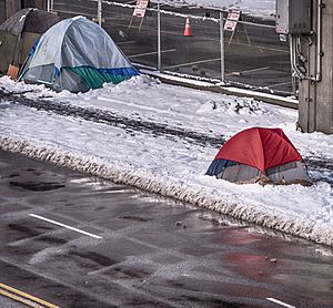 Winter Homeless Seattle