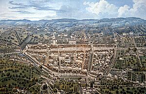 Winterthur aus der Vogelschau 1850