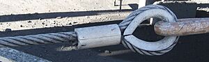 Wire rope with thimble and ferrule