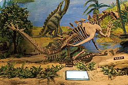 Zigong Dinosaur Museum Gigantspinosaurus.jpg