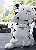 2018 Winter Olympic Mascot Soohorang.jpg