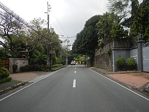 7975Balete Drive Quezon City Landmarks 34