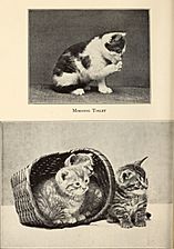 Alexander and some other cats (1929) (17946528592)