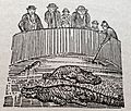 Alligators 1880-09-13