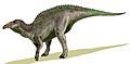 Anatotitan BW