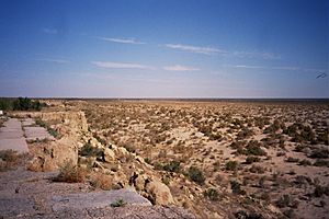 Aral Sea Bed