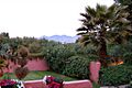 Arizona Inn garden