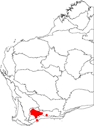 Banksia xylothemelia map