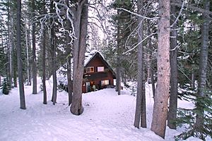 A snowbound cabin in Bear Valley