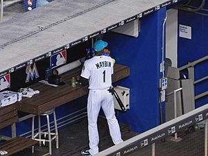 Cameron Maybin, June 2018