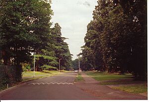 Canons Drive 90s