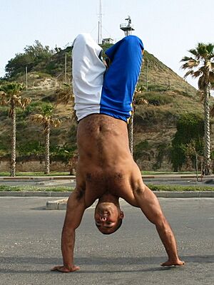 CapoeiraHandstand1 ST 05
