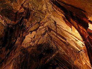 Cathedralceiling-gunnsplainscave