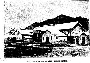 Cattle Creek Sugar Mill, Finch Hatton, 1913