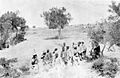 Chunuk Bair POWs