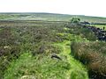 Cicely Low, a ring cairn on Houndkirk Moor - geograph.org.uk - 1363853