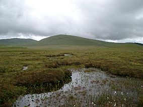 Small lochans on the accessible area of the Forsinard reserve