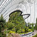 Cloud Forest (I)