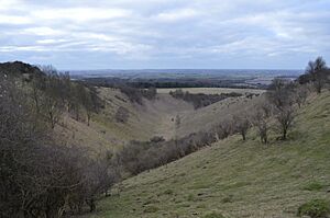 Deacon Hill, Bedfordshire 9