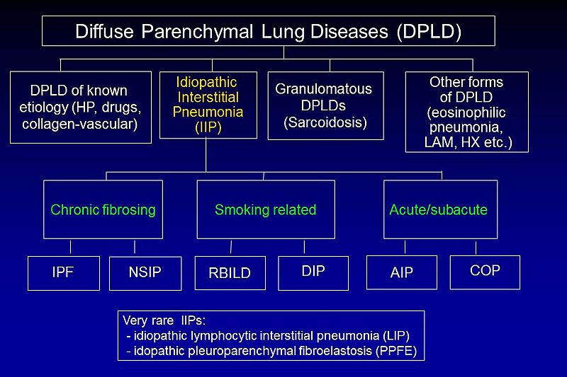 Diffuse Parenchymal Lung Diseases