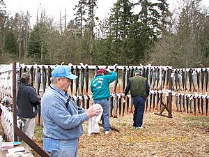 Annual Salmon Derby