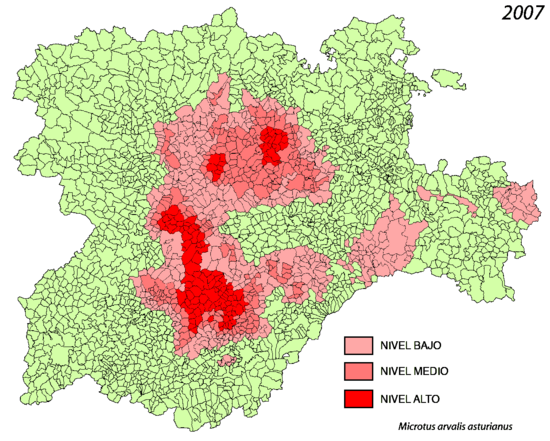 Dispersión de los topillos-Castilla y Leon-2007